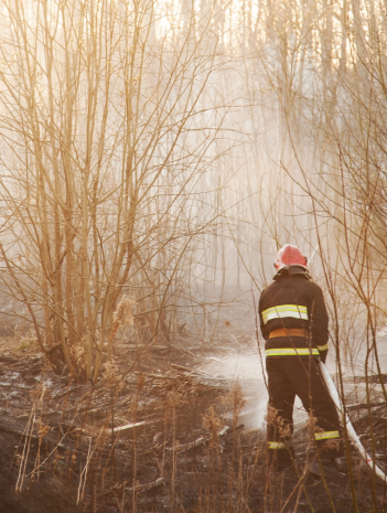 Incendios forestales: Efectos medioambientales